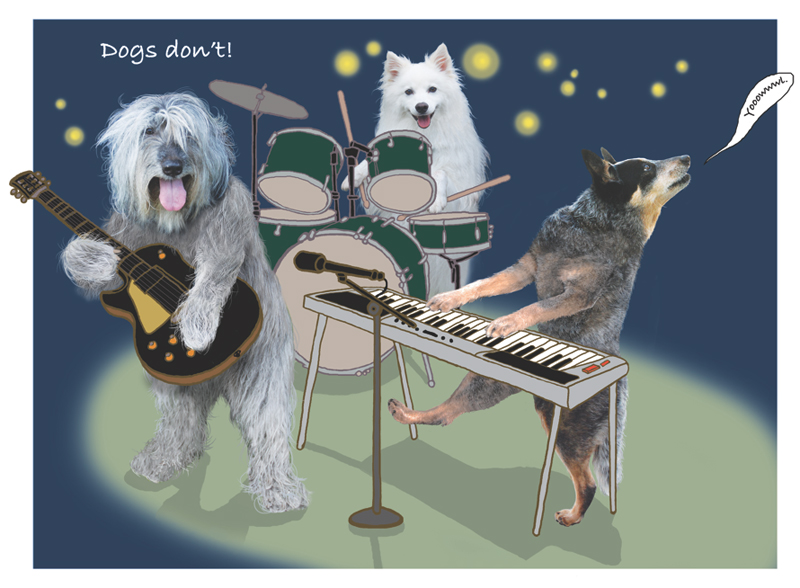 Dogs Don’t Brush Their Teeth shelley rotner