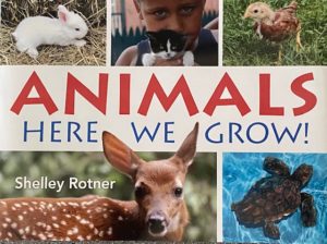 ANIMALS